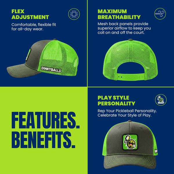 Paddy: THE AMBASSADOR