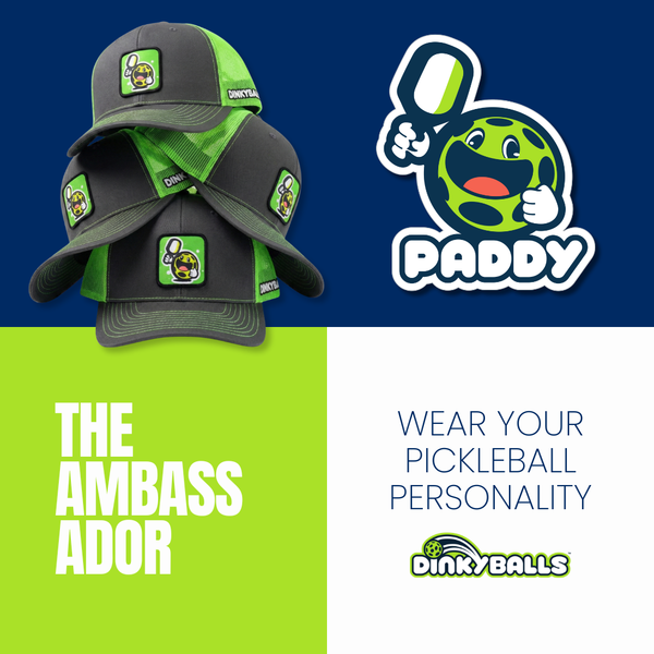Paddy: THE AMBASSADOR