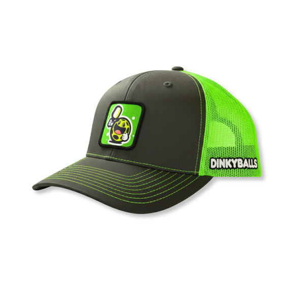 Paddy: THE AMBASSADOR